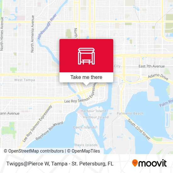 Twiggs@Pierce W map