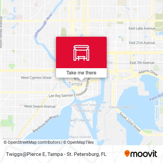 Twiggs@Pierce E map