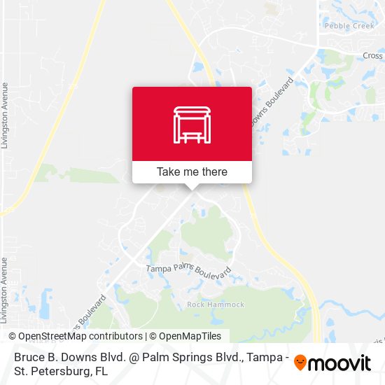 Bruce B. Downs Blvd. @ Palm Springs Blvd. map