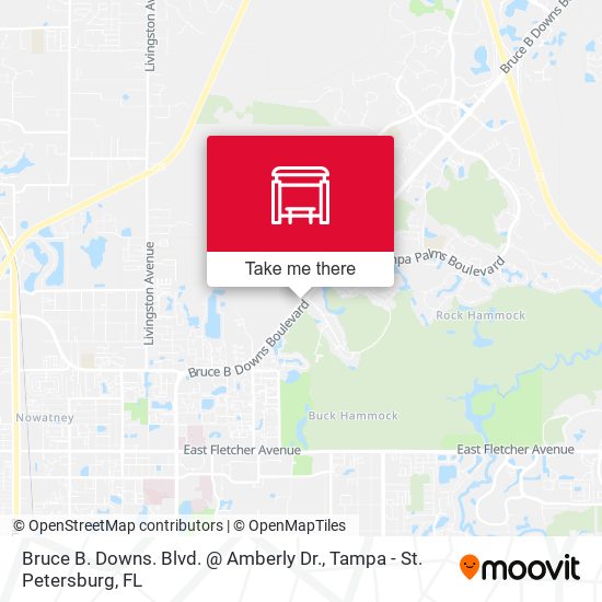 Bruce B. Downs. Blvd. @ Amberly Dr. map