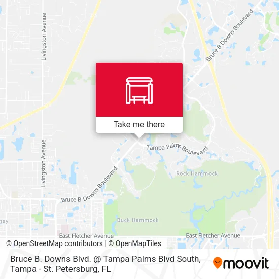 Bruce B. Downs Blvd. @ Tampa Palms Blvd South map