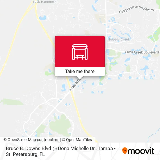 Mapa de Bruce B. Downs Blvd @ Dona Michelle Dr.