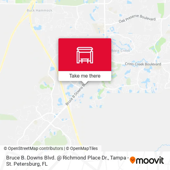Bruce B. Downs Blvd. @ Richmond Place Dr. map