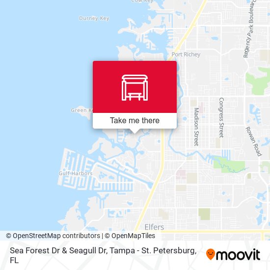 Sea Forest Dr & Seagull Dr map