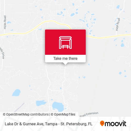 Lake Dr & Gurnee Ave map