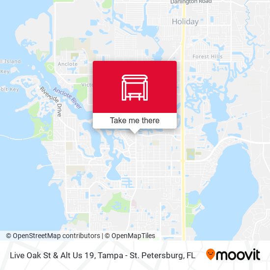 Mapa de Live Oak St & Alt Us 19