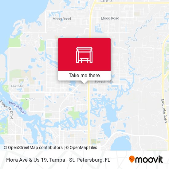 Flora Ave & Us 19 map