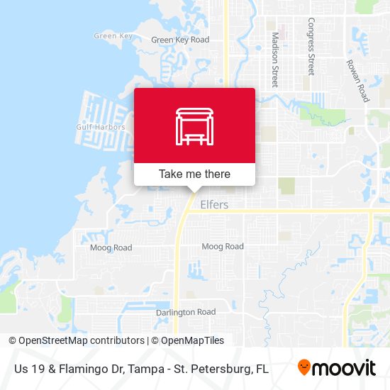 Mapa de Us 19 & Flamingo Dr