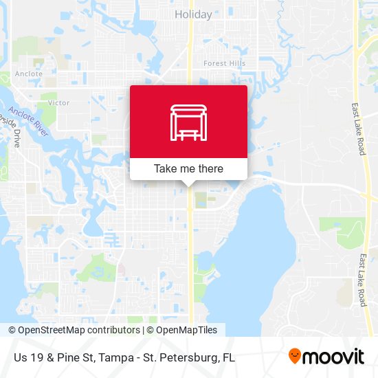 Mapa de Us 19 & Pine St
