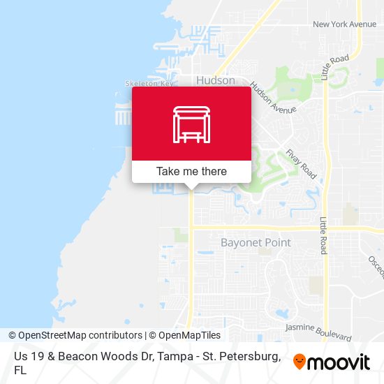 Mapa de Us 19 & Beacon Woods Dr