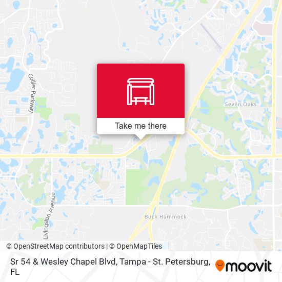 Mapa de Sr 54 & Wesley Chapel Blvd