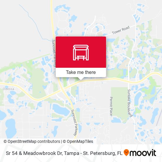 Mapa de Sr 54 & Meadowbrook Dr