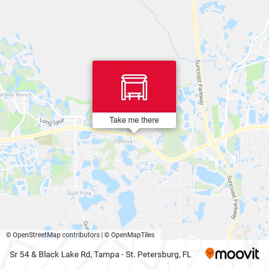 Sr 54 & Black Lake Rd map