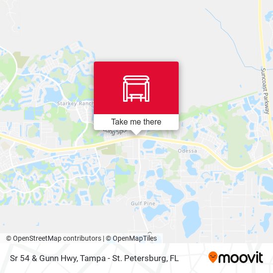 Sr 54 & Gunn Hwy map