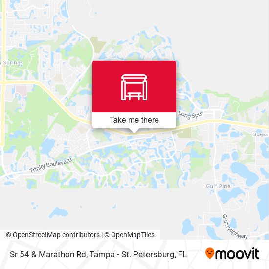 Sr 54 & Marathon Rd map