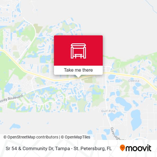 Sr 54 & Community Dr map