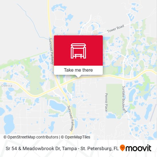 Mapa de Sr 54 & Meadowbrook Dr
