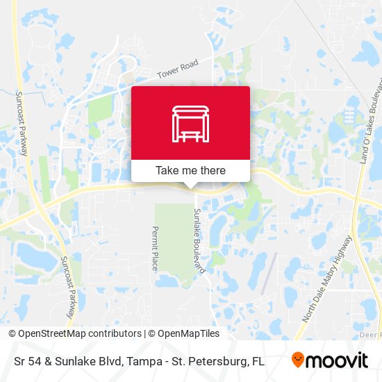 Sr 54 & Sunlake Blvd map