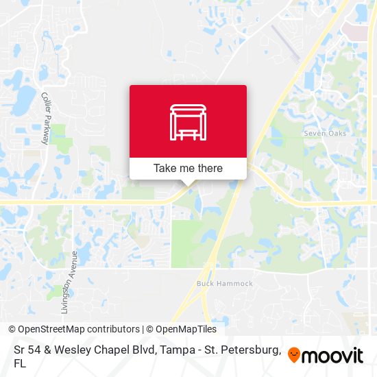 Sr 54 & Wesley Chapel Blvd map