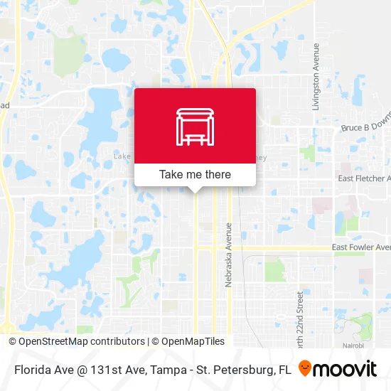 Florida Ave @ 131st Ave map