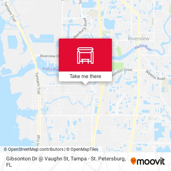 Gibsonton Dr @ Vaughn St map