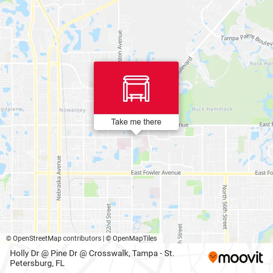 Mapa de Holly Dr @ Pine Dr @ Crosswalk