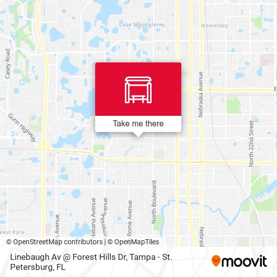 Mapa de Linebaugh Av @ Forest Hills Dr