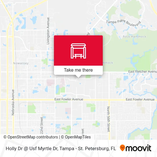Mapa de Holly Dr @ Usf Myrtle Dr
