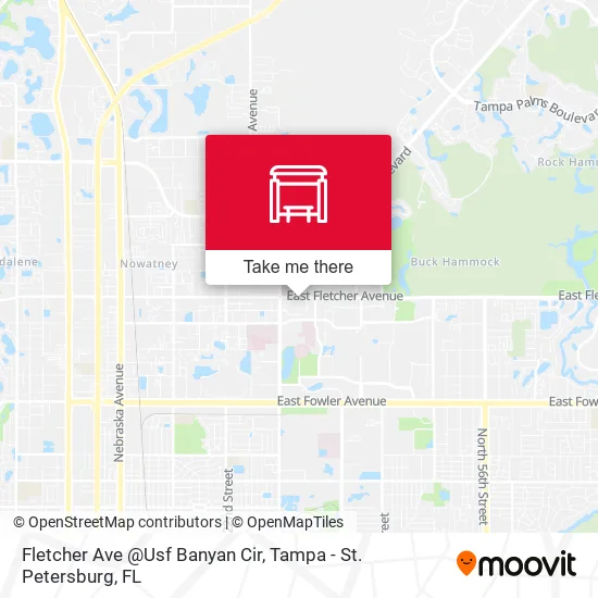 Fletcher Ave @Usf Banyan Cir map