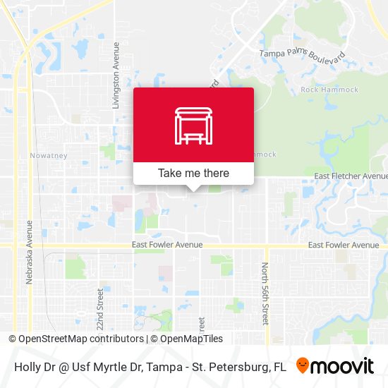 Holly Dr @ Usf Myrtle Dr map