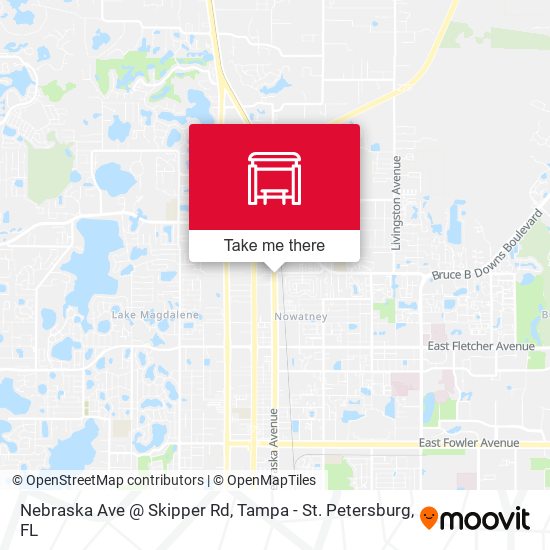 Nebraska Ave @ Skipper Rd map