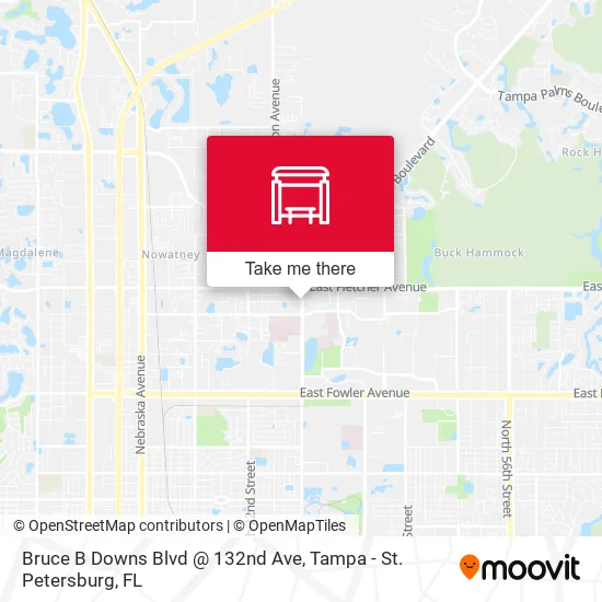 Mapa de Bruce B Downs Blvd @ 132nd Ave