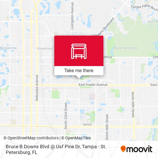 Bruce B Downs Blvd @ Usf Pine Dr map