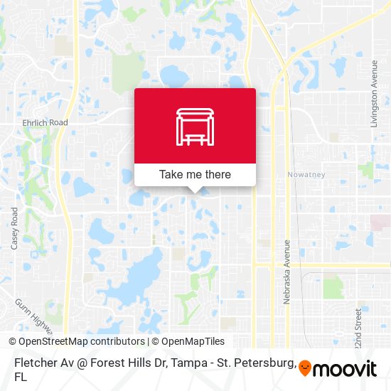 Mapa de Fletcher Av @ Forest Hills Dr