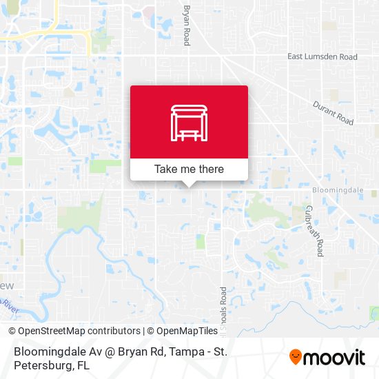 Bloomingdale Av @ Bryan Rd map