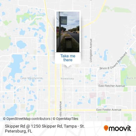 Mapa de Skipper Rd @ 1250 Skipper Rd