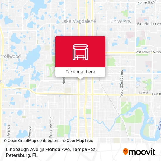 Linebaugh Ave @ Florida Ave map