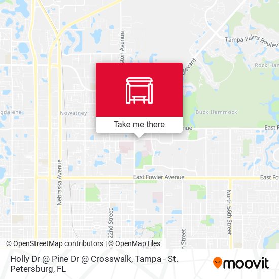 Holly Dr @ Pine Dr @ Crosswalk map