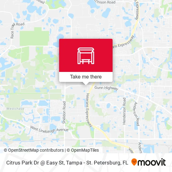 Citrus Park Dr @ Easy St map