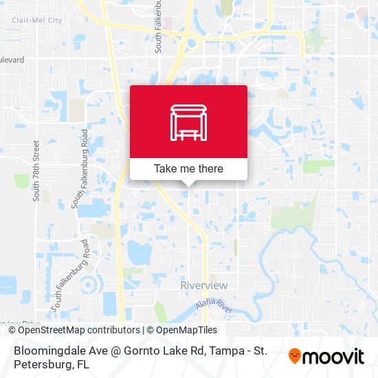 Bloomingdale Ave @ Gornto Lake Rd map