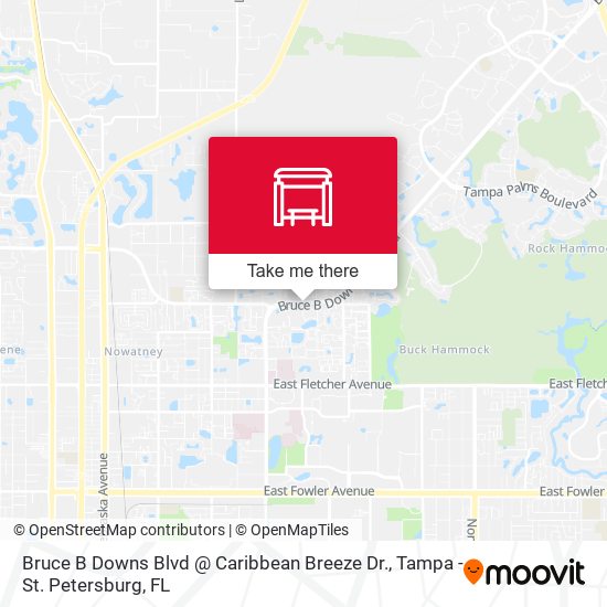 Mapa de Bruce B Downs Blvd @ Caribbean Breeze Dr.