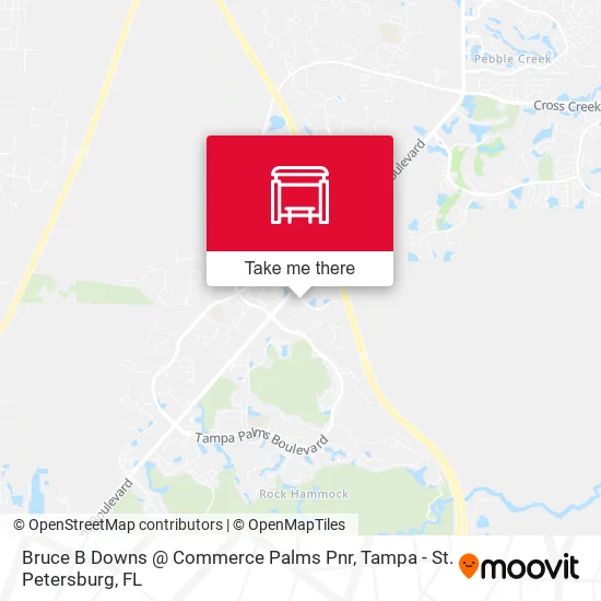 Bruce B Downs @ Commerce Palms Pnr map