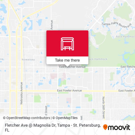 Fletcher Ave @ Magnolia Dr map