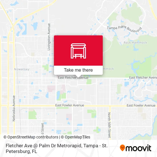 Mapa de Fletcher Ave @ Palm Dr Metrorapid