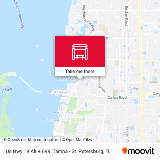 Us Hwy 19 Alt + 699 map