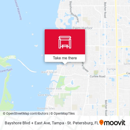 Mapa de Bayshore Blvd + East Ave