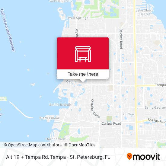Alt 19 + Tampa Rd map
