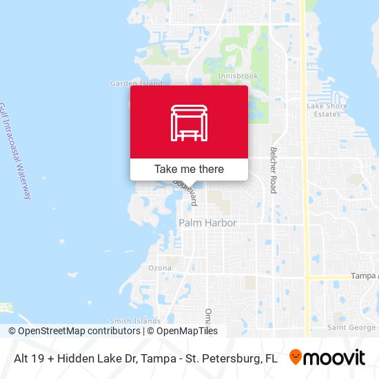 Mapa de Alt 19 + Hidden Lake Dr