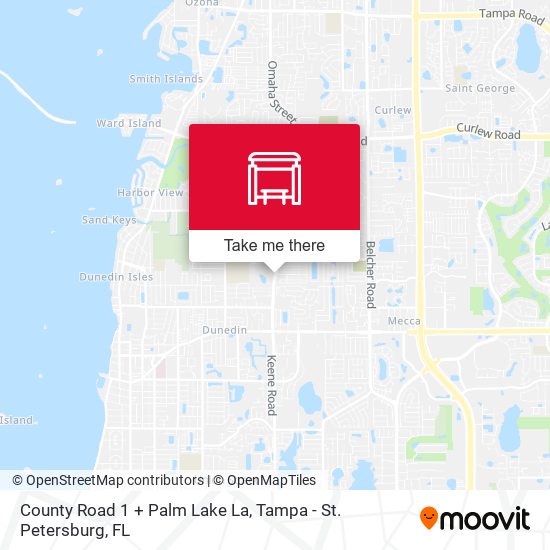 County Road 1 + Palm Lake La map