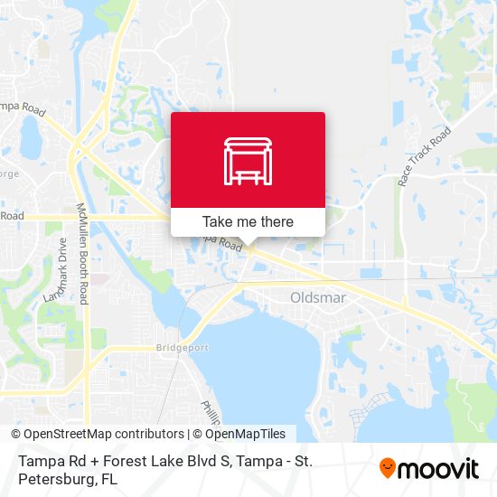 Tampa Rd + Forest Lake Blvd S map